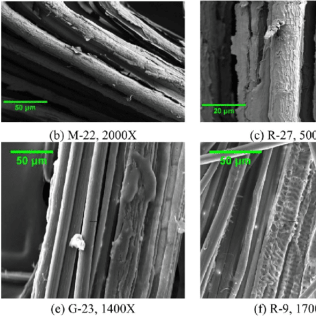 Fibras de bambú ampliadas al microscopio mostrando su estructura redondeada y longitud característica del tejido.