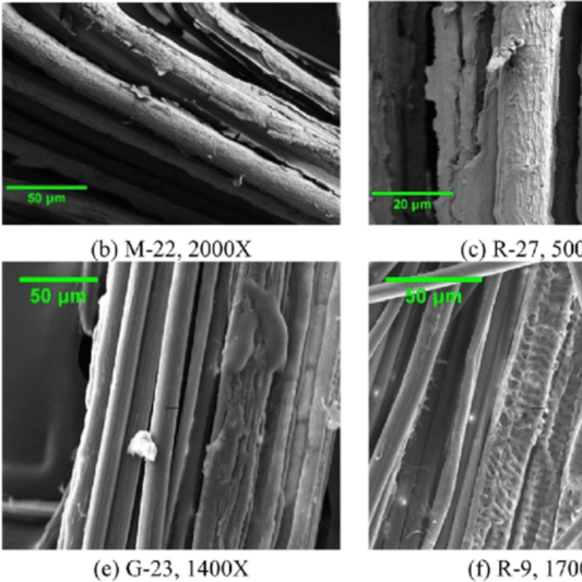 Fibras de bambú ampliadas al microscopio mostrando su estructura redondeada y longitud característica del tejido.
