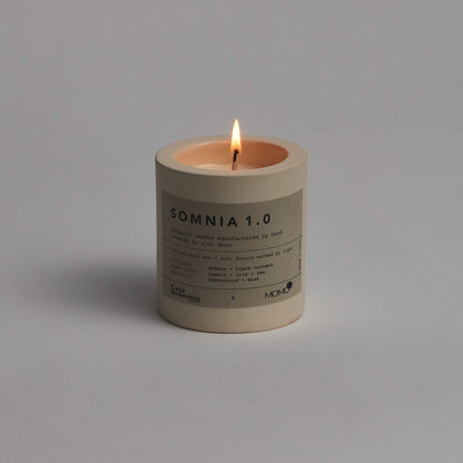 Pillowcase Pair + Somnia 1.0